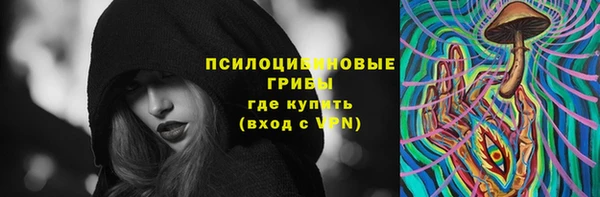 соль ск Вяземский
