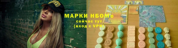 соль ск Вяземский