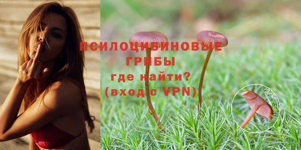 соль ск Вяземский