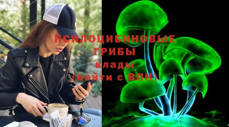 Псилоцибиновые грибы Psilocybine cubensis  Духовщина 